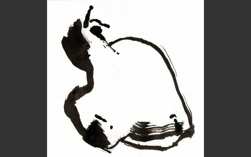 Zeichnungen