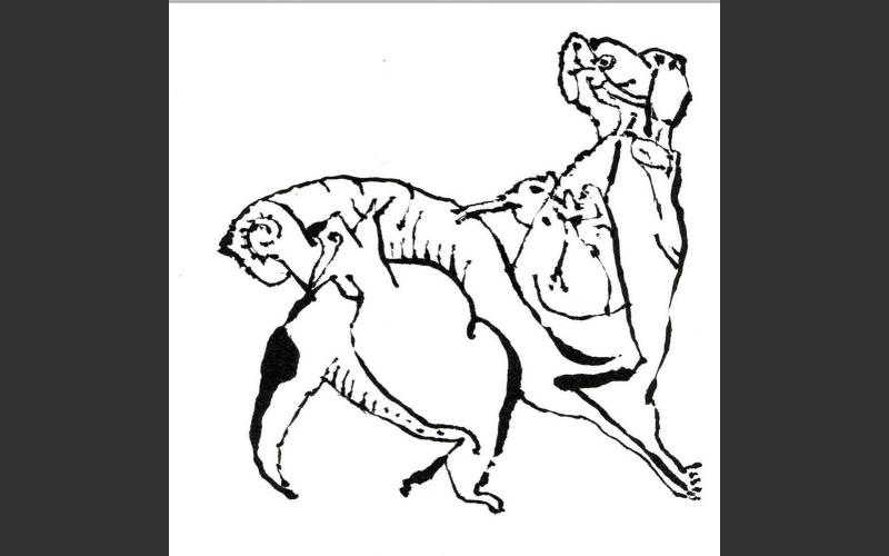 Zeichnungen