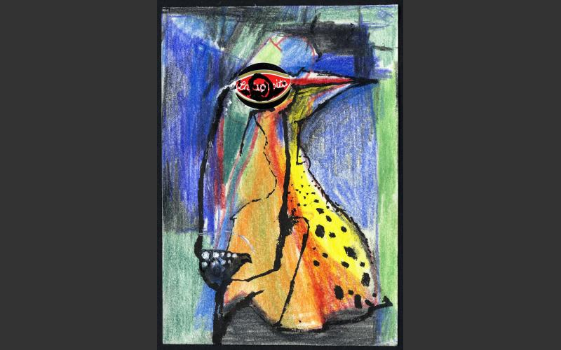 Strange Birds