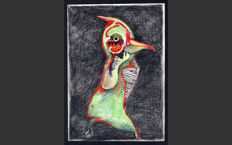 Strange Birds