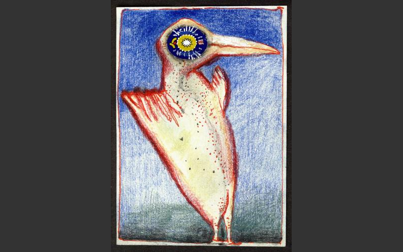 Strange Birds