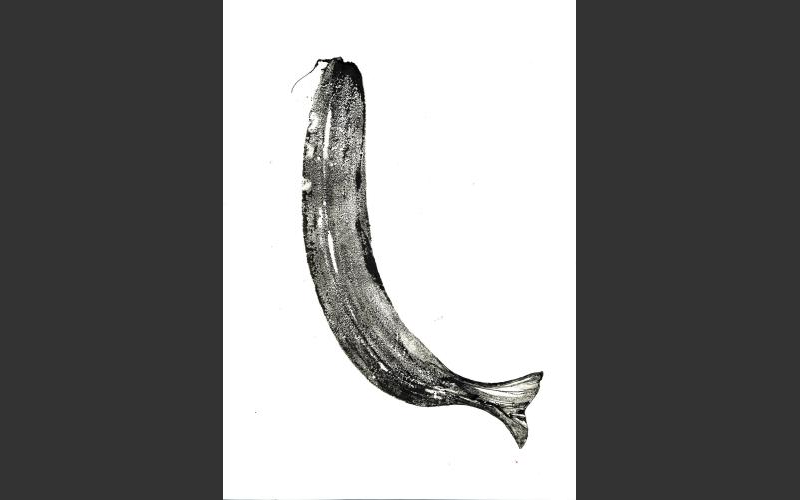 fish & banananas