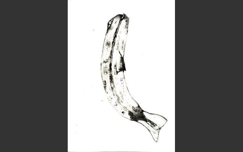 fish & banananas