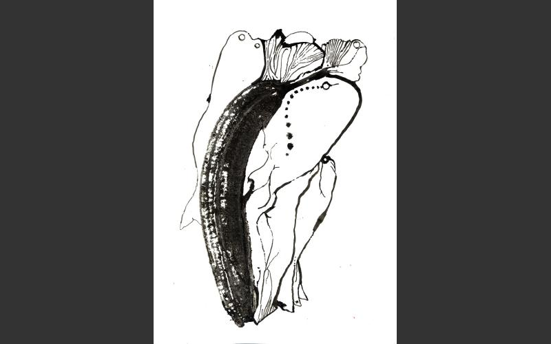 fish & banananas