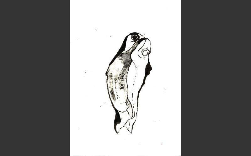 fish & banananas