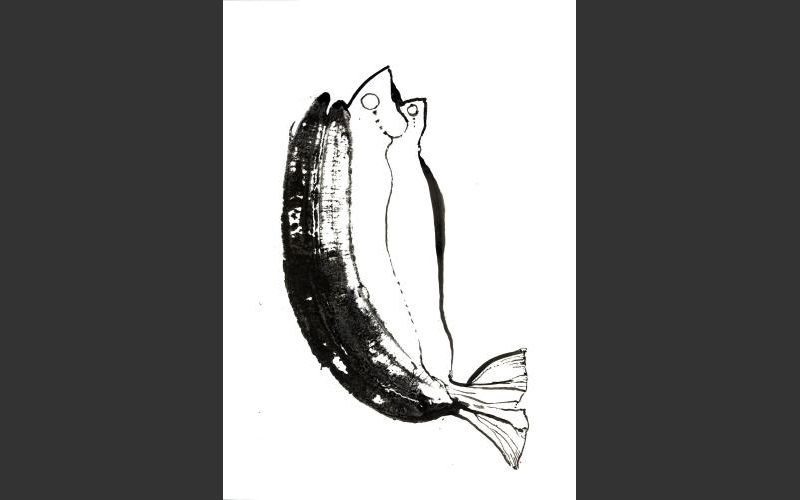 fish & banananas