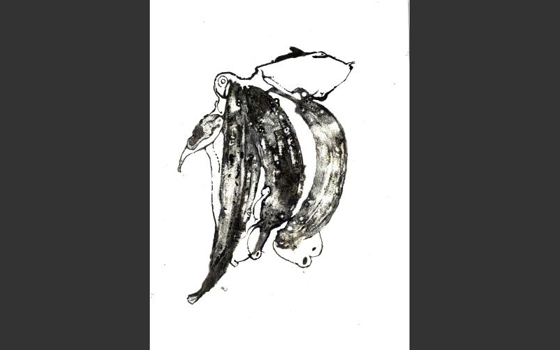fish & banananas