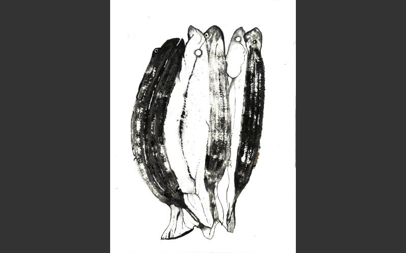fish & banananas