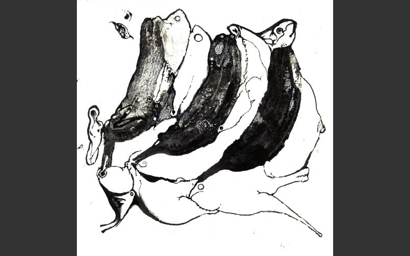 fish & banananas