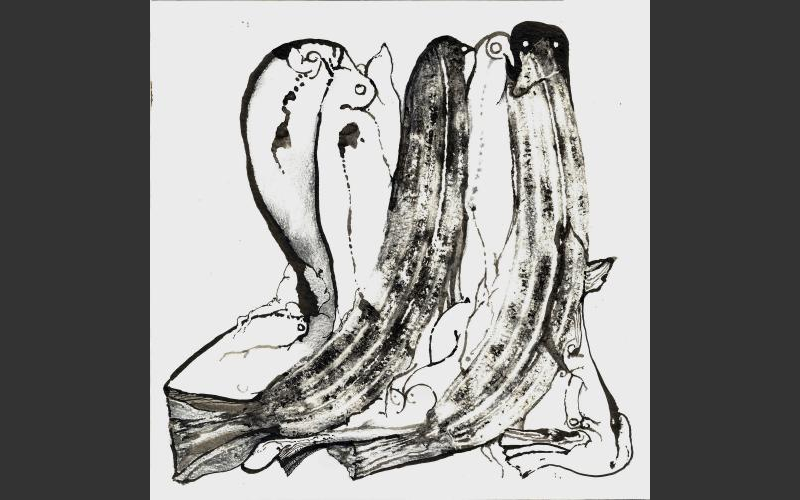 fish & banananas