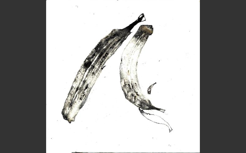 fish & banananas