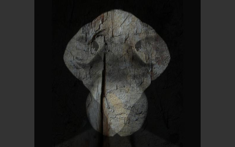 Hölzerne Maske (2013)<br>Überlagerung von Fotografien - Bilder