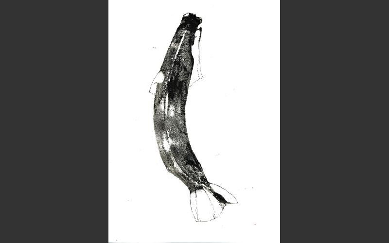 fish & bananas № 5	2017	Tusche, Farbstift auf Papier	29,7X21 cm - fish & banananas