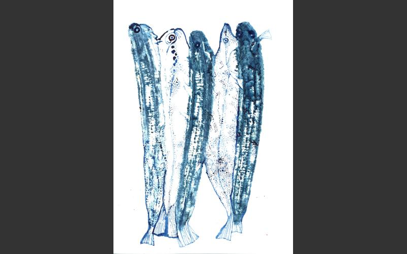 fish & bananas № 7	2017	Blaue Tusche , Farbstift  auf Papier	29,7X21 cm - fish & banananas